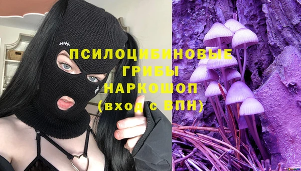 гашик Баксан